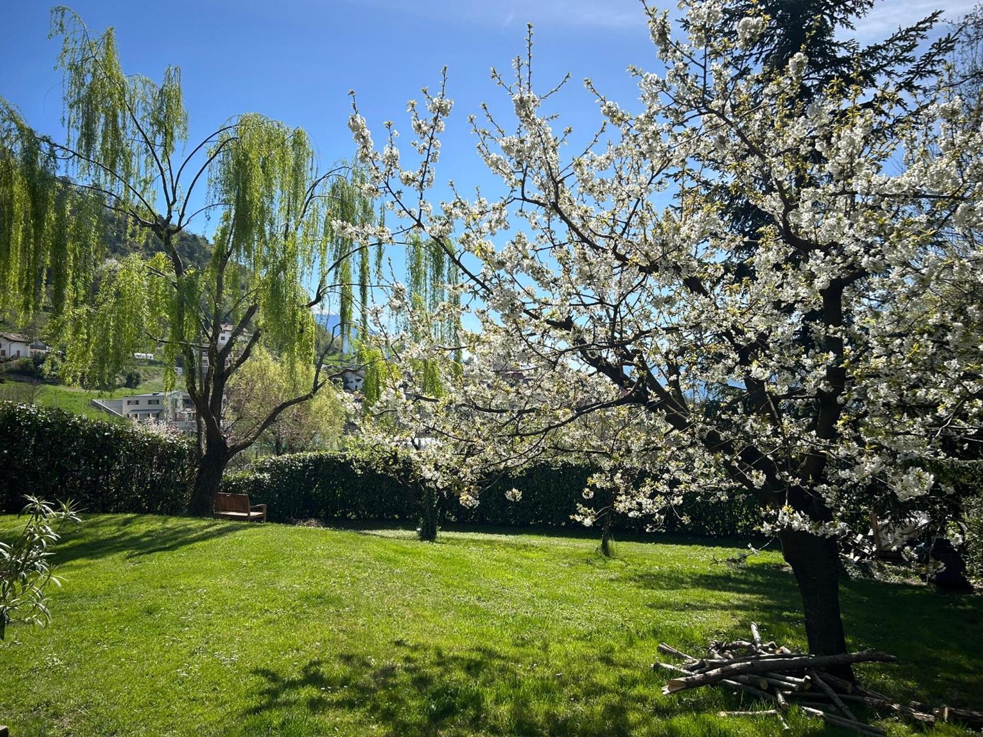 Holliday Charming Home Trento Ngoại thất bức ảnh